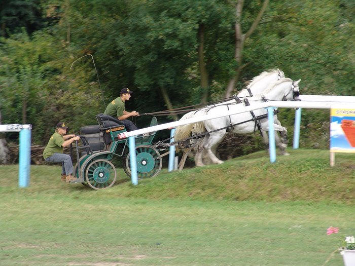 DSC04810.jpg