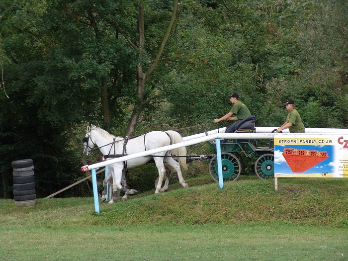 DSC04807.jpg