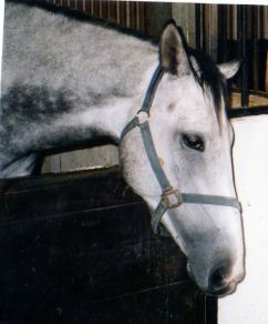 22509644-43073481.jpg