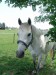 DSC03810.jpg