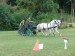 DSC04811.jpg