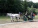 DSC04776.jpg