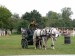 DSC04894.jpg