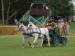 DSC04818.jpg