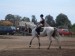 DSC04795.jpg