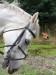 DSC04891.jpg