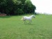 DSC03831.jpg