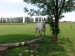 DSC03832.jpg