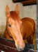 DSC03475.jpg