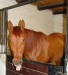 DSC03476.jpg