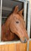 DSC07128.jpg